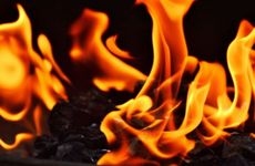 平地木命和霹雳火命互相旺盛运程