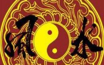 家中摆放绿萝风水