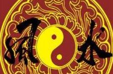 家中摆放绿萝风水