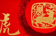 1998年虎与2001年蛇婚配如何