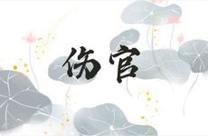 伤官制杀走印运好吗