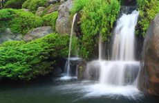 属龙长流水命几月出生好