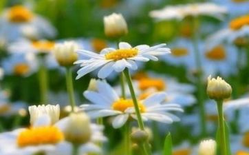 遇到桃花劫的10个征兆