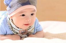 牛爸爸蛇妈妈生鼠宝宝合不合