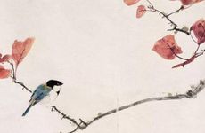 西南坤位与子女运的关系