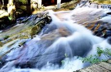 1974年属虎人大溪水命缺什么