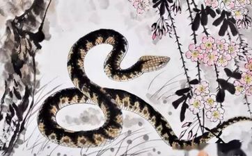 蛇女和什么属相最配 蛇女和什么属相最配