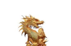 87兔88龙断头婚吗