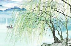 杨柳木命女孩五行缺什么