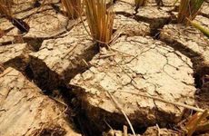 戊土生于立冬当日需要丙火