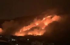 94年山头火命的姻缘