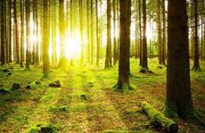 乙巳日出生月份看富贵