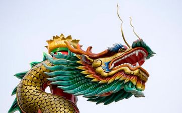 属龙男爱你入骨的表现