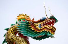 属龙男爱你入骨的表现