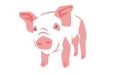 1983年1月出生的属猪人五行属缺查询