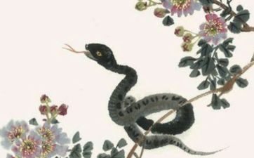 属蛇人性格特征和脾气