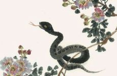 属蛇人性格特征和脾气