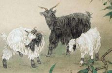 属羊人的三大劫难年龄