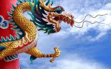 属龙初四出生是什么命