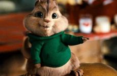 1972年属鼠女一生有二婚吗