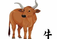 属牛人2026年有牢狱之灾吗