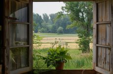 大门对窗户风水好吗