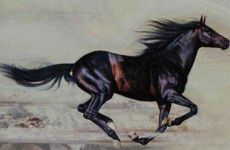 1990年属马人终身幸运数