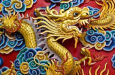 1988属龙人今年需忌什么