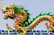 属羊属龙做夫妻好吗