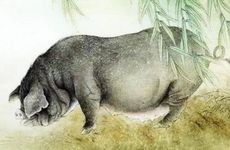 95年属猪人的大难年是在哪一年?