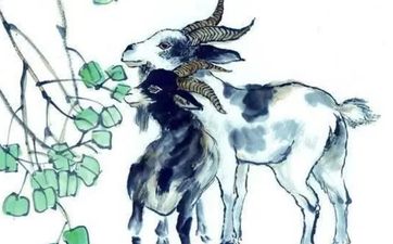 属羊人适合开什么样的车