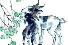 属羊人适合开什么样的车