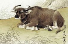 1997年属牛人2026年有正桃花吗