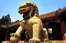 发型会阻碍你的好运气