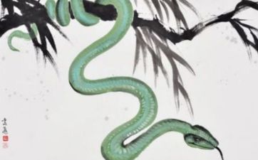 1965属蛇人最难熬的年龄是什么时候