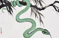 1965属蛇人最难熬的年龄是什么时候