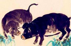 属猪人属龙人合婚属于断头婚吗