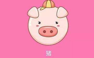 属猪人最忌讳的三个属相
