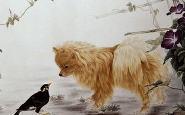 2006年属狗人什么命