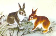 2026年属兔人运势如何