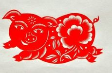 属猪男最想娶的老婆是