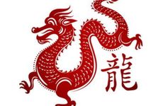 属龙人和什么属相婚配合适?