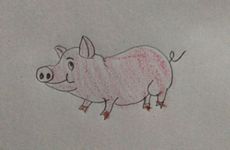 属猪人2026年有哪些吉星和凶星