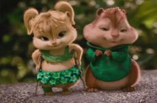 1996年属鼠人会二婚吗