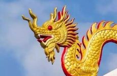 属龙跟属龙的相配超高吸引力激情四溢