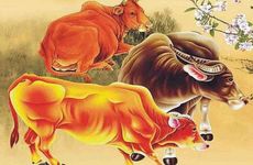 2026年属牛人会离婚吗