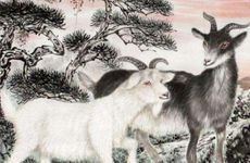 属羊的男女适合在一起吗