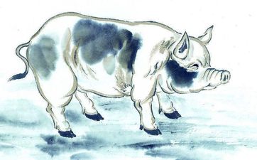 1983年属猪的交运时间表 1983年属猪的交运时间表