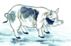 属蛇和属猪在一起会桃花劫嘛