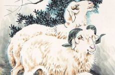 2026年属羊人桃花劫是什么属相